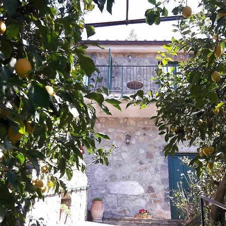 La Lobra Alloggio per agriturismo Massa Lubrense