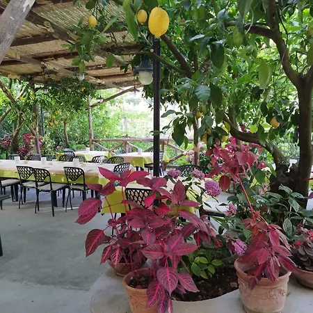 La Lobra Agroturismo Massa Lubrense