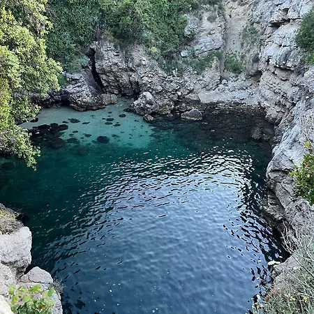 La Lobra *