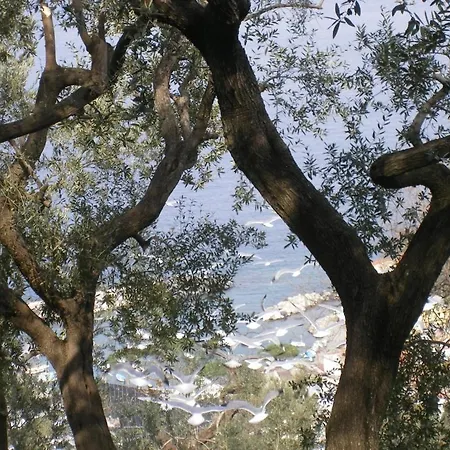 La Lobra