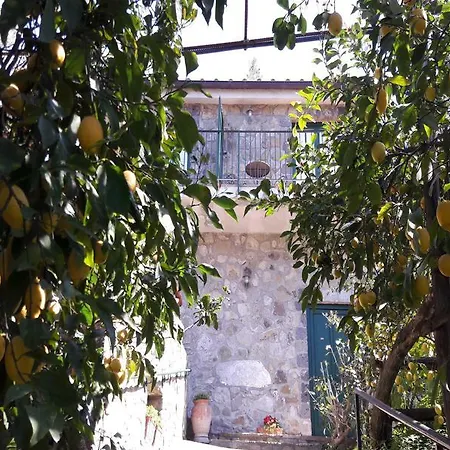 La Lobra Séjour à la ferme Massa Lubrense